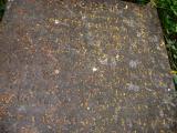 image of grave number 484030